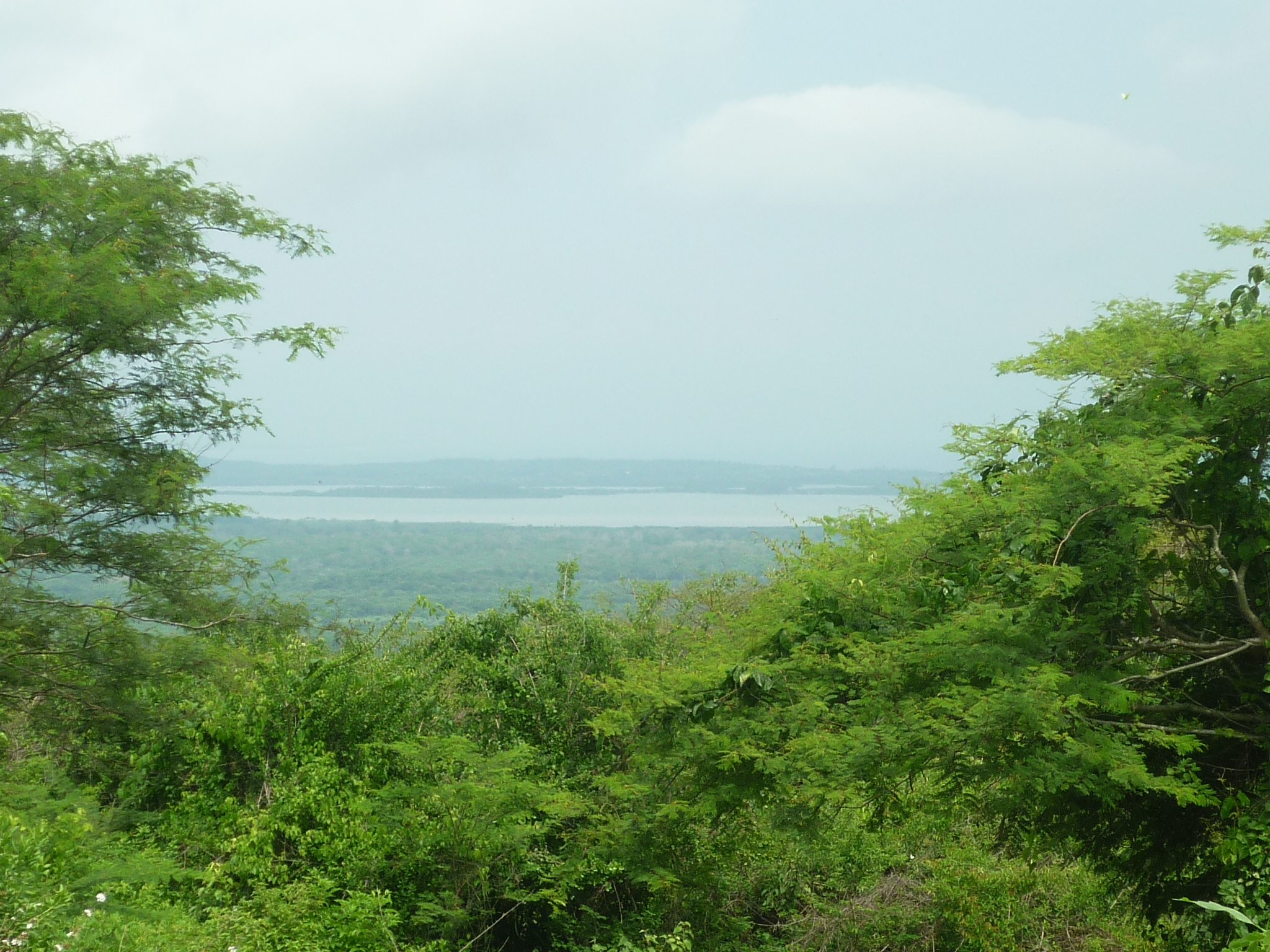 1.900.000 hectáreas en áreas protegidas y corredores biológicos para el Caribe Colombiano