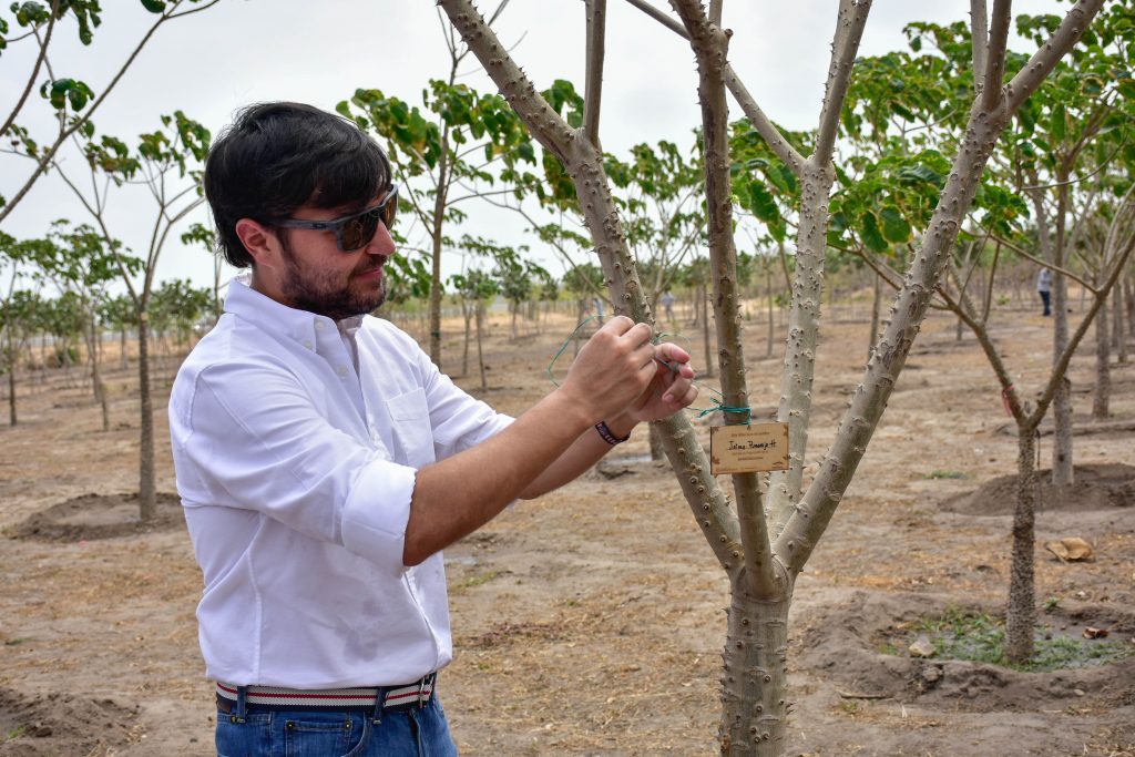 Alcalde Jaime Pumarejo y su compromiso con los árboles de la biodiverciudad. Hoy en Villas de San Pablo.