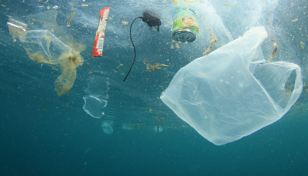 El uso de los plásticos de un solo uso sigue desbordado en el mundo. Llenan de basura los océanos, los bosques y el mundo entero.