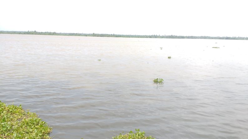 Convocatoria de cuentos sobre el rio Magdalena río Magdalena. Foto CieloRocío Loaiza