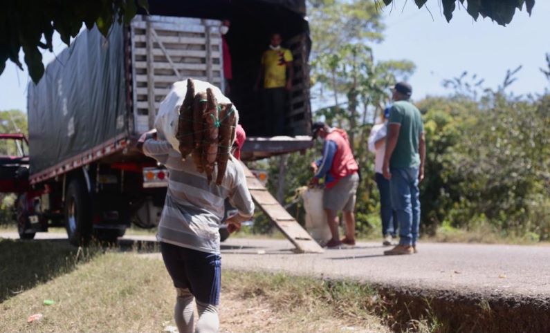 Las asociaciones de campesinos también han recibido apoyo en el acopio y traslado de la yuca desde los municipios de Repelón y Luruaco hacia Barranquilla.