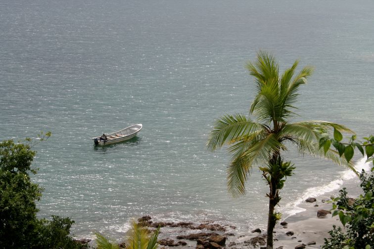 Parque Nacional Natural Utría, en el Departamento del Chocó. Foto: Minambiente
