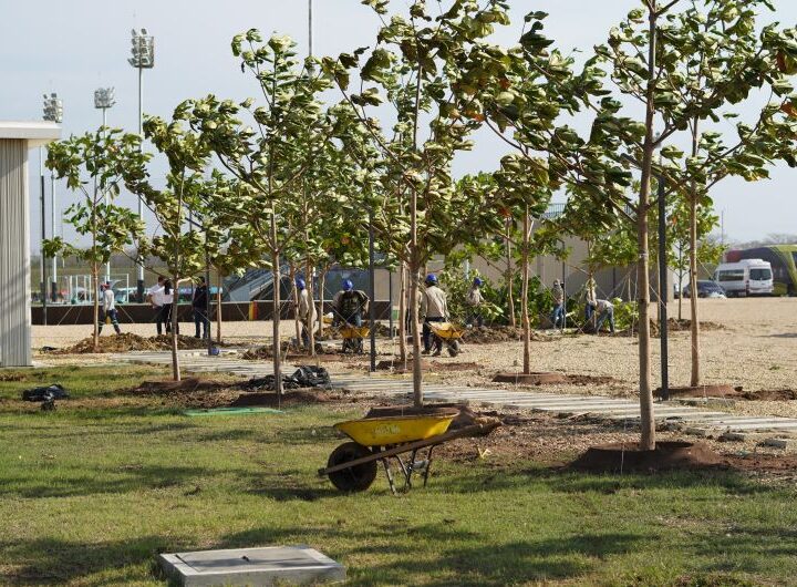 Barranquilla intervendrá 31.000 metros cuadrados de espacio público con arborización y paisajismo.