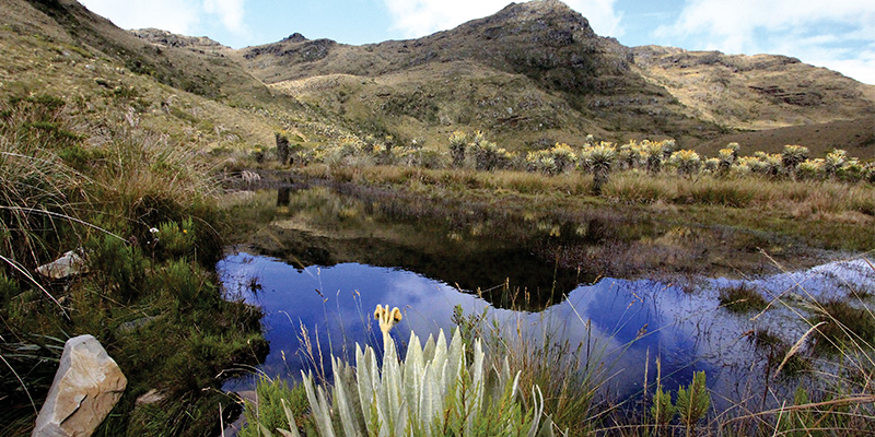Páramo de Iguaque. Su paisaje se asemeja a una gran laguna glacial. Foto: situr.boyacá.gov.co