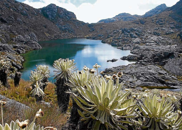 El impresionante Páramo de Supamaz es el más grande del mundo. Foto: Las Dos Orillas