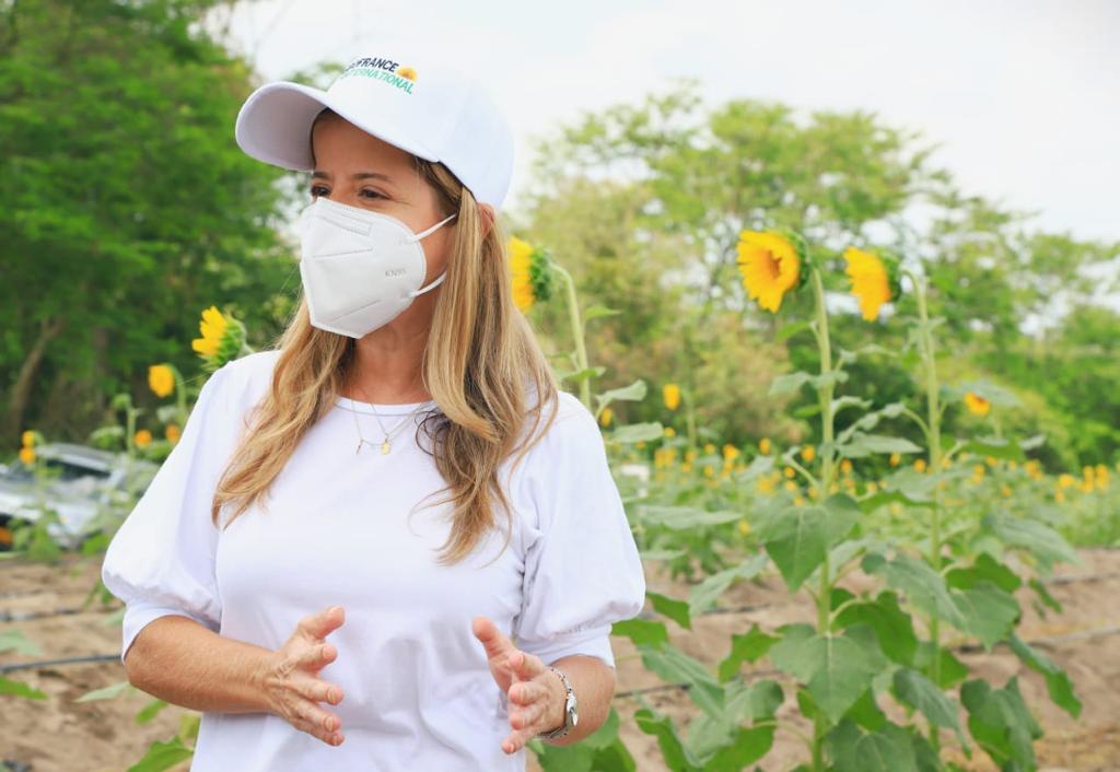 Siembra de girasoles del Atlántico florece en Santo Tomás. Elsa Noguera Gobernadora del Atlántico