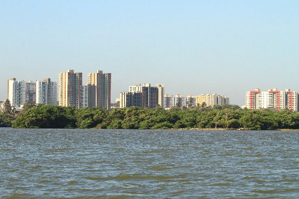 Proyecto sobre calidad del agua de la Ciénaga de Mallorquín gana convocatoria del Fondo de Innovación