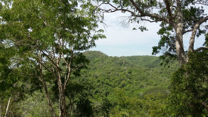 Colombia debe votar el Acuerdo de Escazú. Colombia es el segundo país más peligroso del mundo para los líderes ambientales, según la Organización Internacional Global Witness.