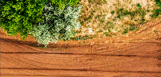 CDP Latinoamérica y Fundación Natura lanzan acuerdos de deforestación cero en Colombia