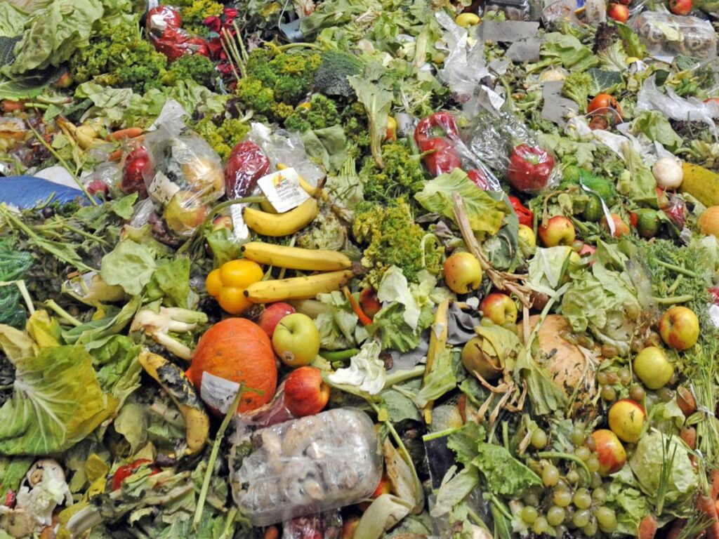 Según el informe, 4,4 millones de km2 de tierras agrícolas y 760 km3 de agua se utilizan para producir los 1,2 mil millones de toneladas de alimentos que se pierden antes, durante y después de la cosecha