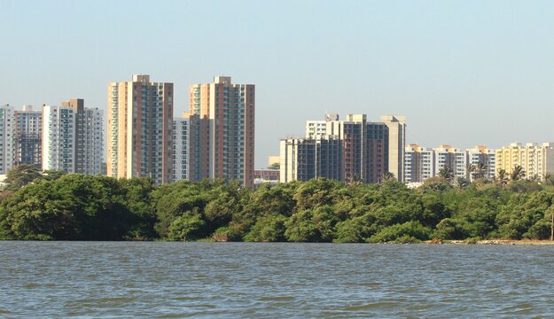 Barranquilla revoluciona con su infraestructura verde para combatir el cambio climático