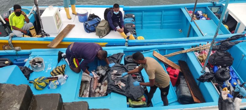 Incautados más de 800 kilos de pesca blanca en el Pacífico nariñense