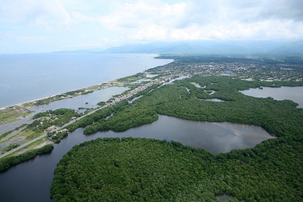 La Ciénaga Grande de Santa Marta, está ubicada en el municipio de Ciénaga, departamento del Magdalena. Este complejo lagunar, está catalogado como una gran reserva natural de la biosfera, con múltiples características biogeográficas que le dan lugar al hábitat de diversas especies de fauna y flora. Foto: Alejandro Acosta, Revista Dinero