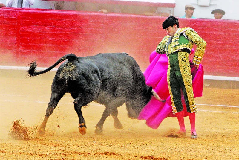 A punto de prohibirse las corridas de toros en ciudad de México. El Congreso del Distrito Federal, votará en febrero una reforma de ley que busca vetar la fiesta brava.