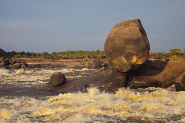 El parque nacional natural El Tuparro, se encuentra ubicado en la Orinoquía colombiana. Está localizado en el departamento del Vichada. Es un santuario de aves, orquídeas, monos, serpientes y delfines rosados de agua dulce. Está bañado por el río Tuparro, al que debe su nombre.