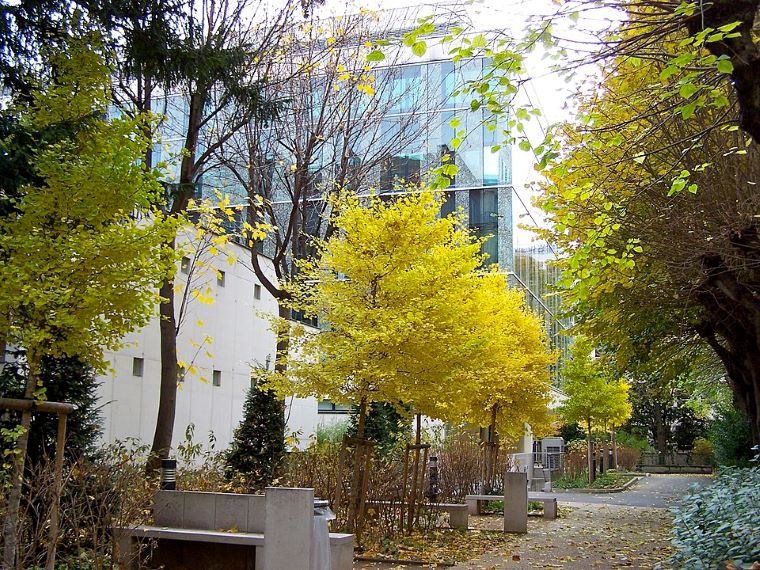 Gobernadora promueve los proyectos del Atlántico en París. La Secretaría de Salud Departamental, realiza mesas de trabajo con el Instituto Curie. Foto: De LPLT - Trabajo propio, CC BY-SA 3.0,
