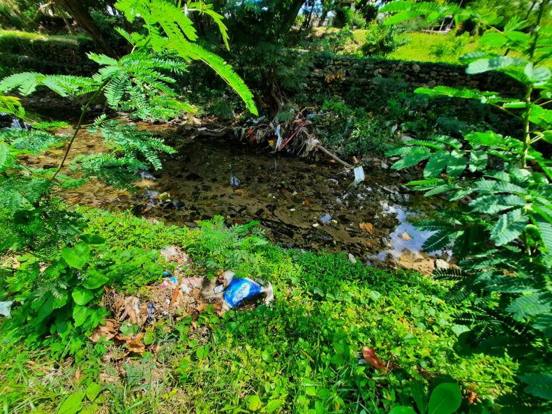 Denuncian que los ojos de agua del Jardín Botánico son contaminados diariamente con excrementos
