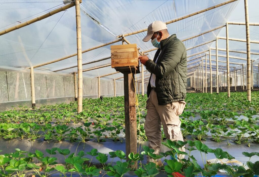 Las abejas juegan un papel muy importante en el desarrollo en la economía rural del país, por lo que debemos conocerlas para contribuir con su conservación.