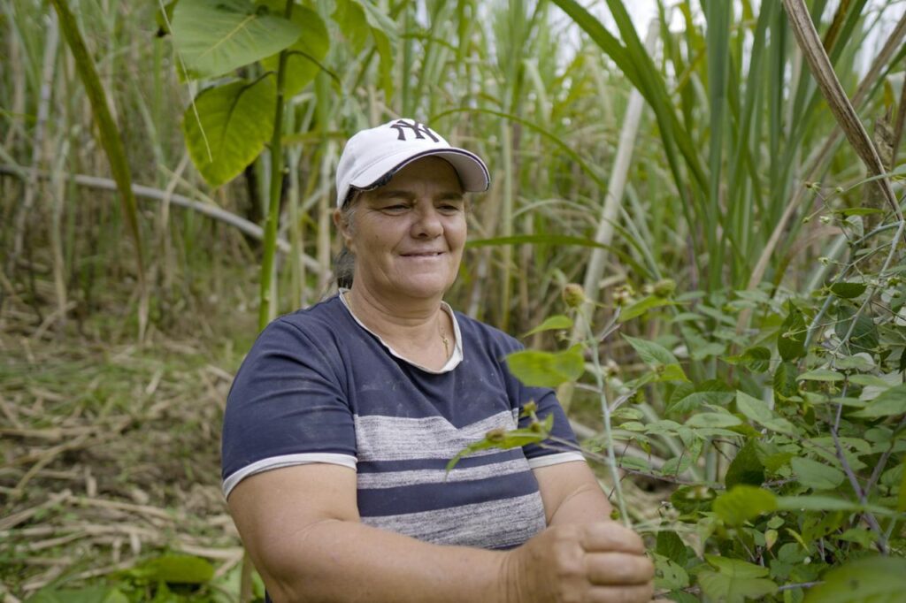 Emilse Parra, hace parte de las 52 familias del municipio de Granada (Antioquia) que reciben este incentivo. Ella, de la mano de su familia, siembra árboles nativos y, además, le enseña a diferentes niños, jóvenes y habitantes de su comunidad sobre la importancia de cuidar el medio ambiente