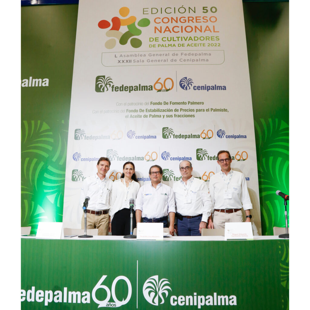 Sector palmero: abanico de posibilidades para la economía colombiana