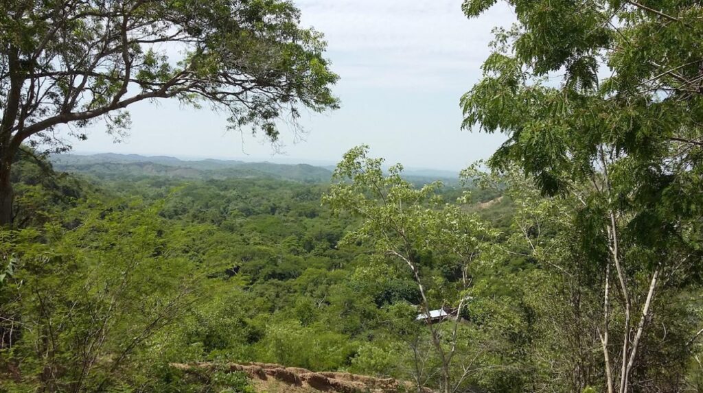 La financiación de áreas protegidas regionales es prioritaria para el Pacto Histórico. Foto: Lurisa, primera zona en el Atlántico declarada por la -C.R.A. área de reserva ambiental.
