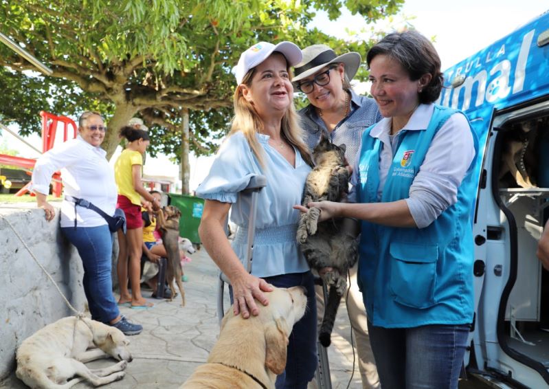 Mascotas y animales callejeros de Piojó también son atendidos por la Gobernación del Atlántico