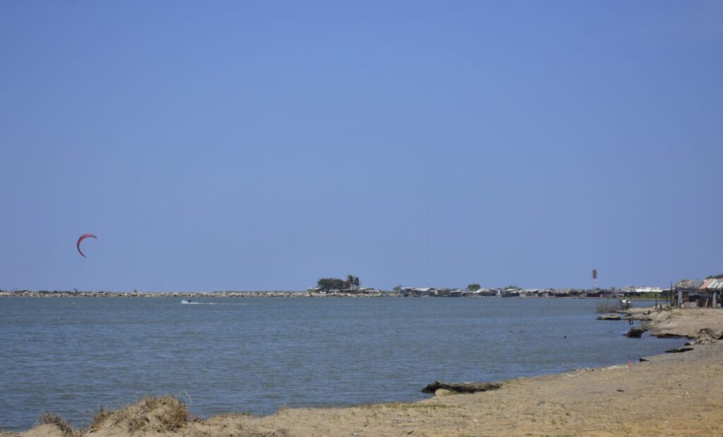 Ecoparque Mallorquín: un tesoro natural de Barranquilla para el mundo.