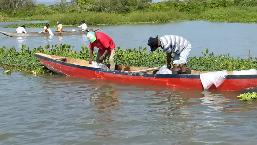 Repoblamiento de alevinos en el sur del Atlántico
