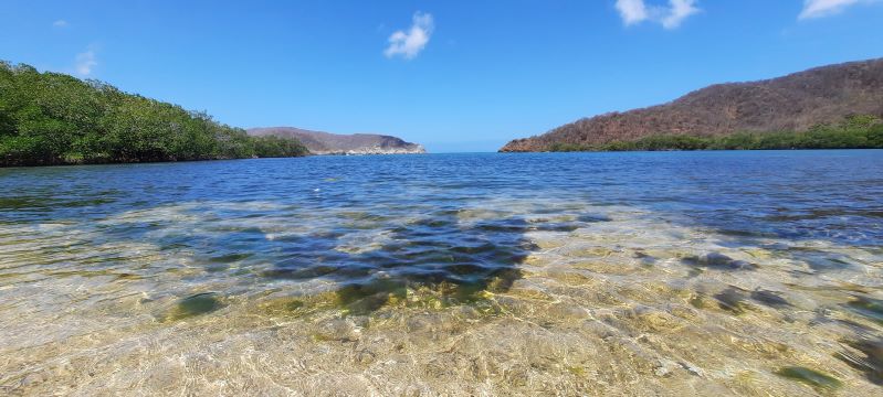 Playa protegida del Parque Tayrona donde se halló la coexistencia entre manglares y corales. Foto: Universidad Simón Bolívar