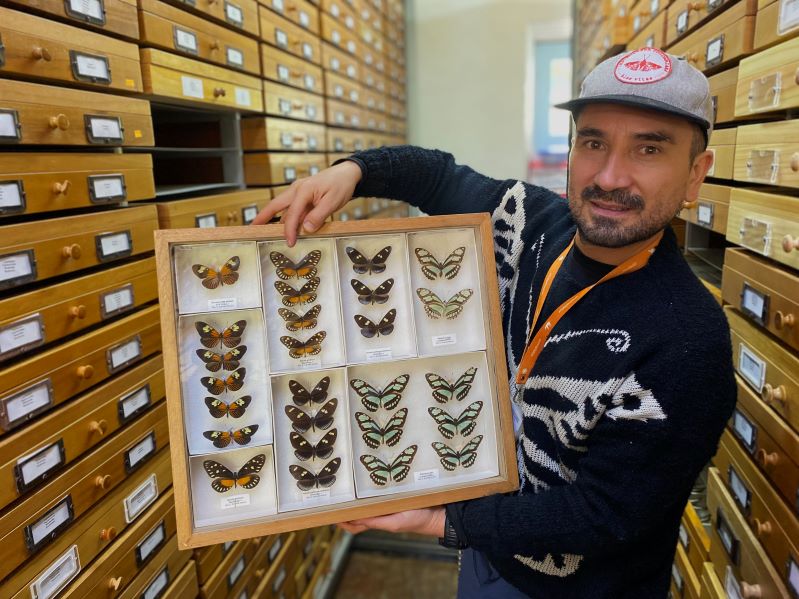 Colombia se ratifica como el país más diverso en mariposas con 3.877 especies. Foto:: Indiana Cristo