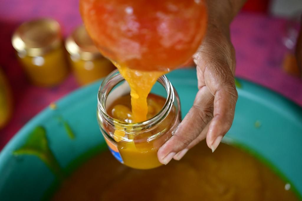 Sazón Atlántico celebra el 26° Festival del Mango en Pendales-Luruaco
